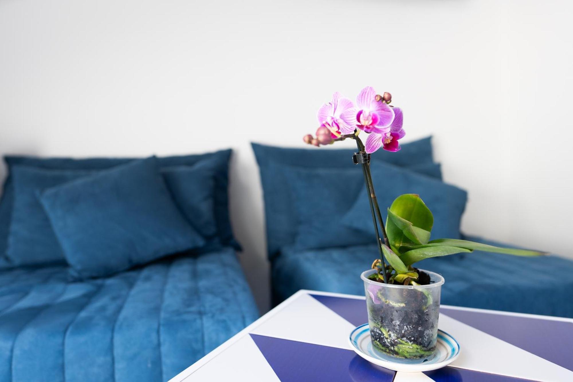 אמאלפי Hotel Villa Annalara Charme And Relax מראה חיצוני תמונה